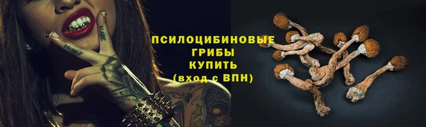 молекула духа Белокуриха